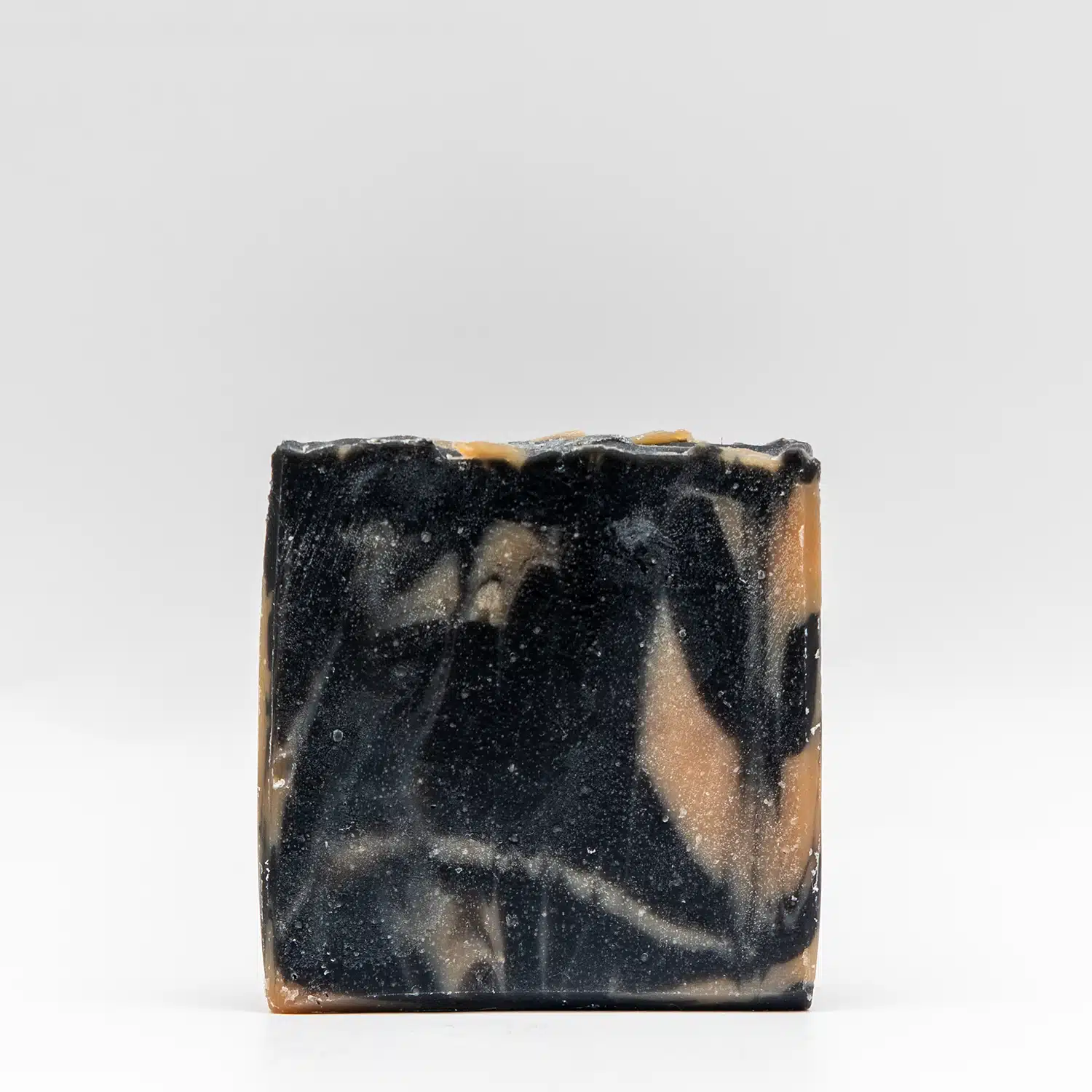 Agave Noir - Image 2
