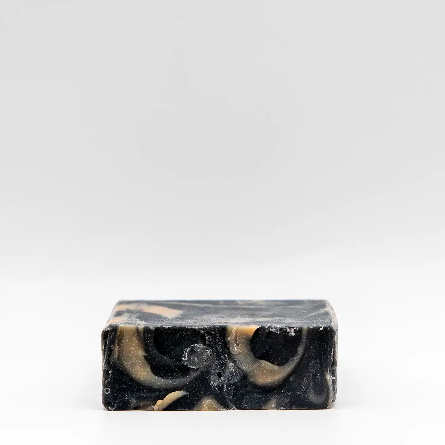 Agave Noir - Image 5